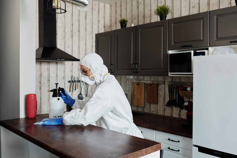 How to Clean Metal Kitchen Door Handles?