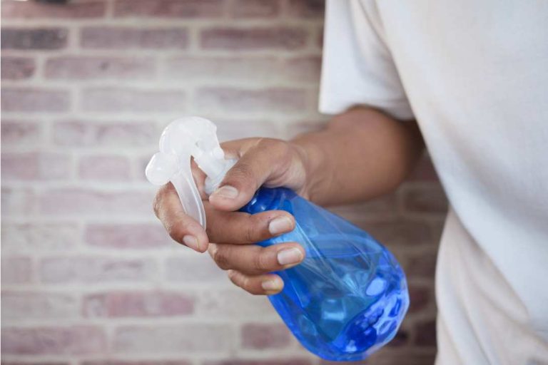 How To Clean Kitchen Cabinets After Pest Control?