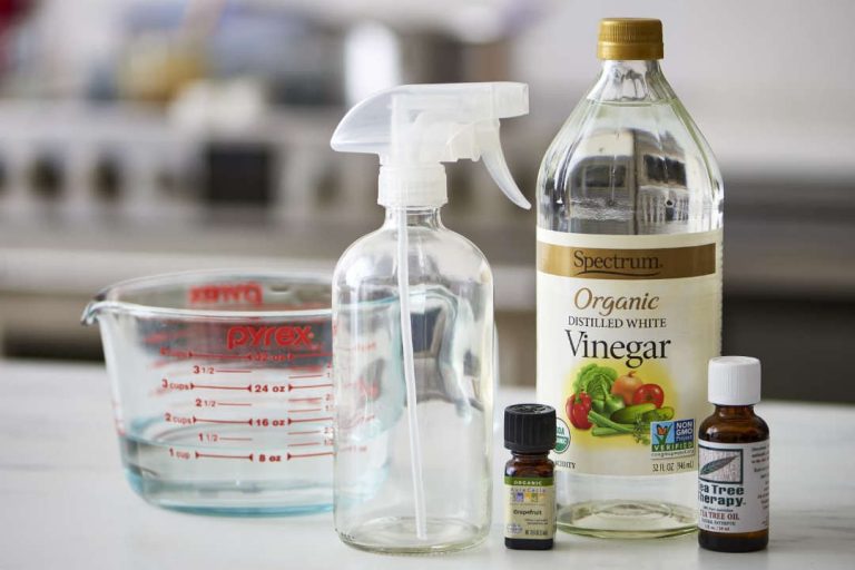 Eco-Friendly Natural Kitchen Cleaner Options